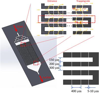 Application of a novel rectangular filtering microfluidic device for microfilarial detection